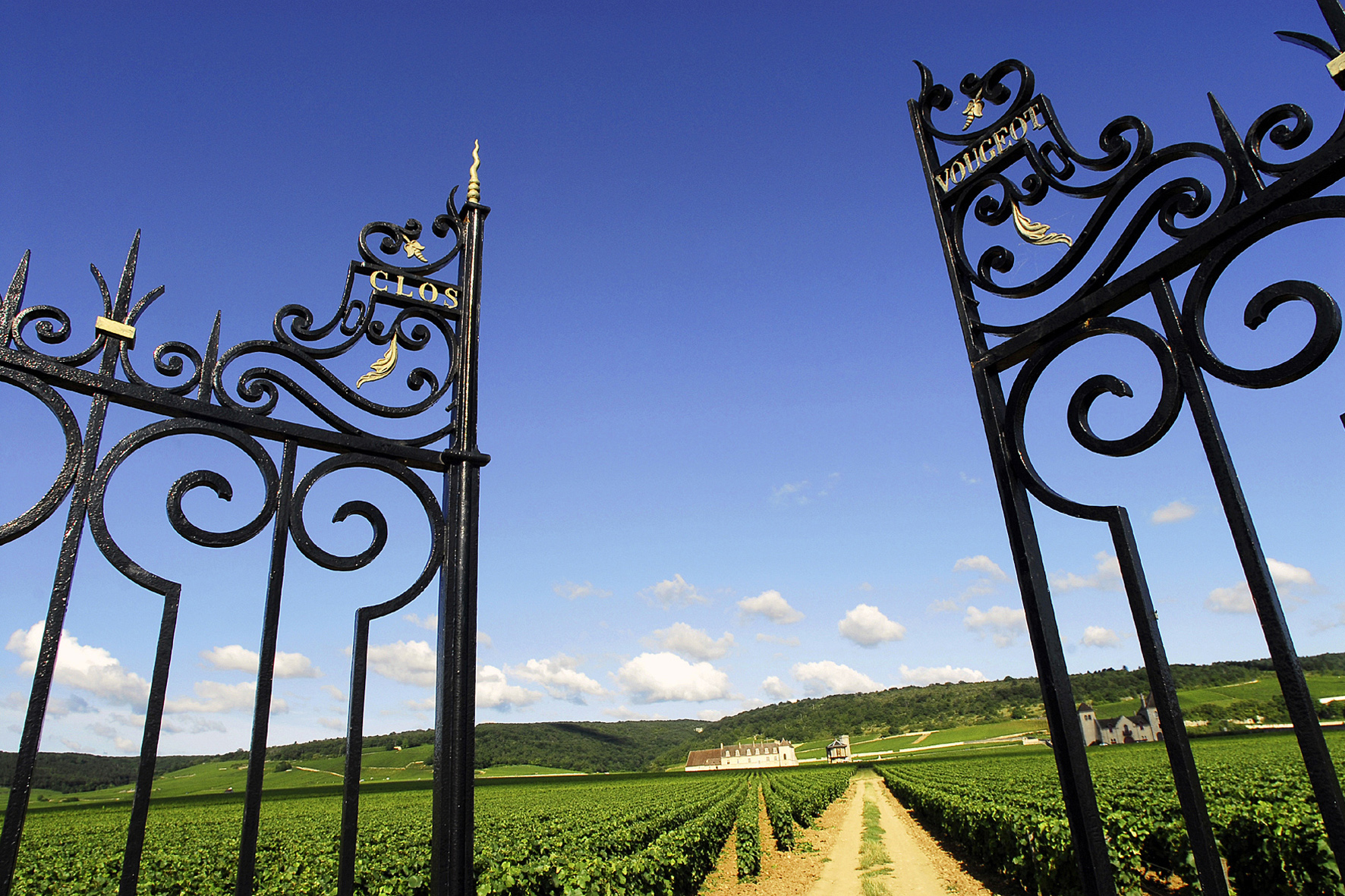 Clos-Vougeot-gate